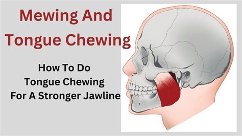 Download Tongue Chewing Manual Guide 