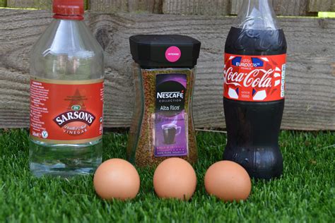 Tooth Decay Experiment With Eggs And Drinks Why Teeth Science Experiment - Teeth Science Experiment