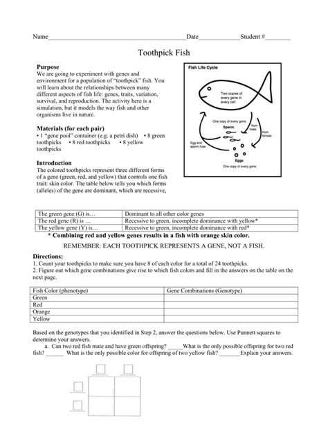 Toothpick Fish Answer Key