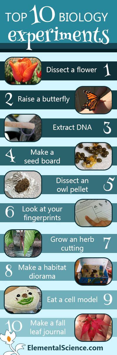 Top 10 Biology Experiments You Don X27 T Life Science Experiments - Life Science Experiments