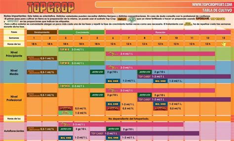Top Crop Tabla