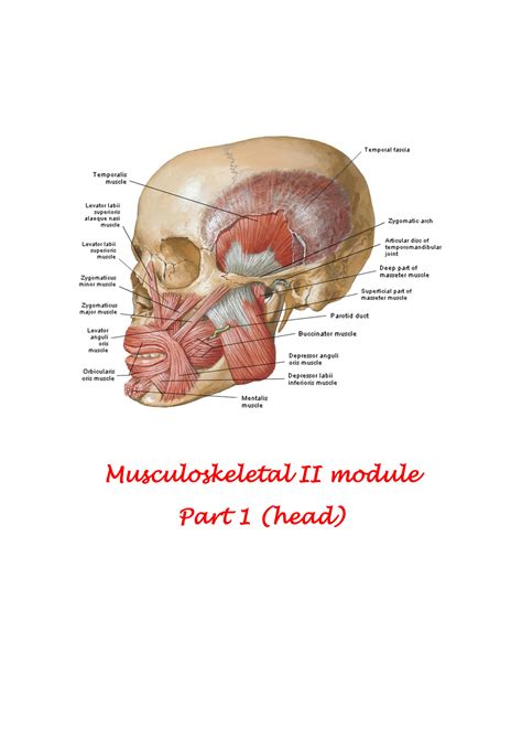 top of head explanation