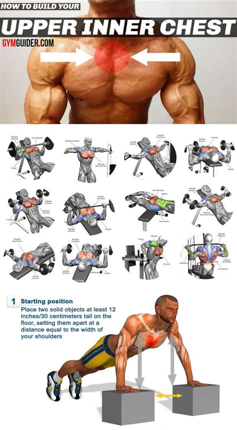 Top Pectoral Exercises