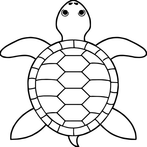 Top View Of Sea Turtle Coloring Pages Xcolorings Coloring Picture Of A Turtle - Coloring Picture Of A Turtle