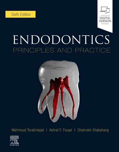 torabinejad endodontics pc