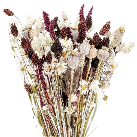 torkade blommor  skada borta hamsal