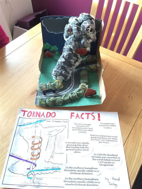 tornado project for school