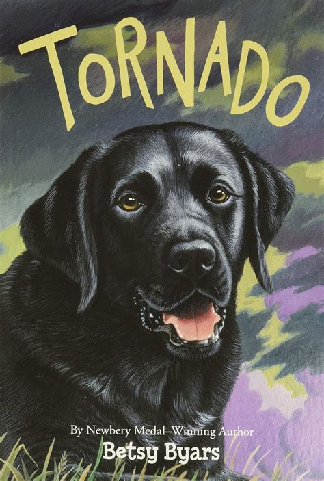 Tornado Trophy Chapter Book