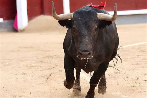 bet 777: Apostas Desportivas Online e a Garantia de Segurança para Seu Dinheiro - Foto 2