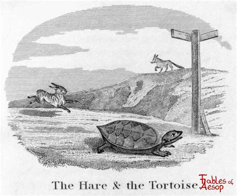 Tortoise And The Hare