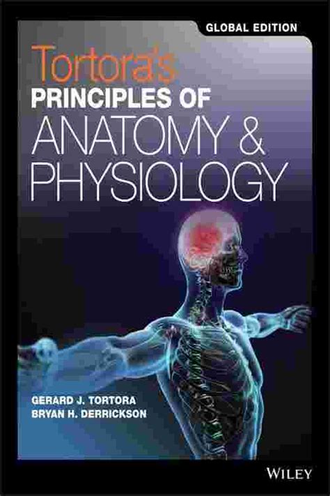 Read Online Tortora Anatomy And Physiology 13Th Edition Pdf Free Download 