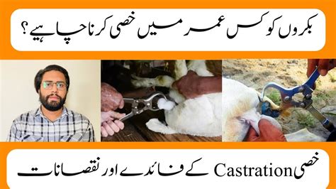 Total Human Castration Before And After Pictures