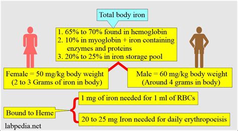 Total Iron Binding Capacity
