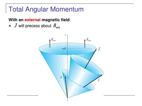 Total Orbital Angular Momentum