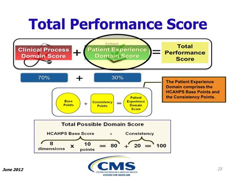 Total Performance Score