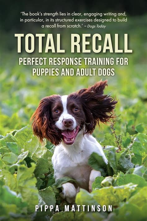 Total Recall Perfect Response Training For Puppie