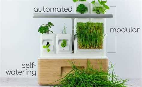 Instagram post by Connie Kemmer #1