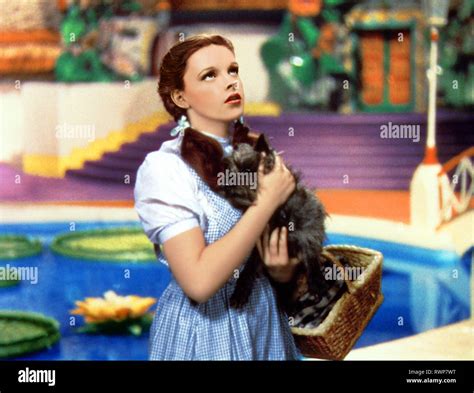 Toto Oz Wizard