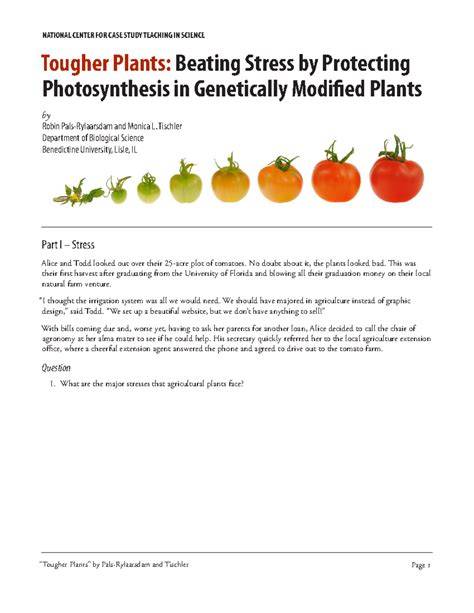 tougher plants case study answers