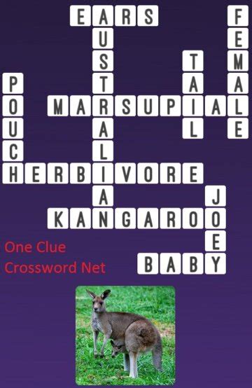 toy also called a kangaroo ball Crossword Clue Wordplays.com