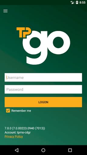 verde: Apostas Desportivas Online com Garantia de Segurança Financeira para Todos os Jogadores - Foto 2