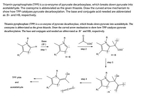Tpp Coenzyme