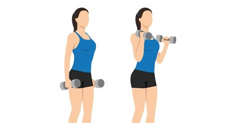 träna muskler armar