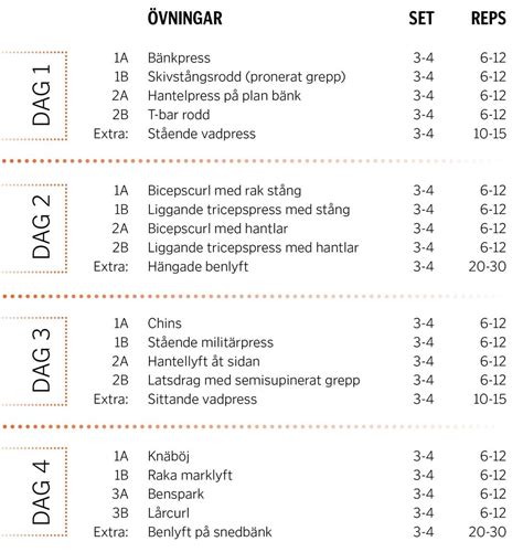 träningsschema 3 dagar