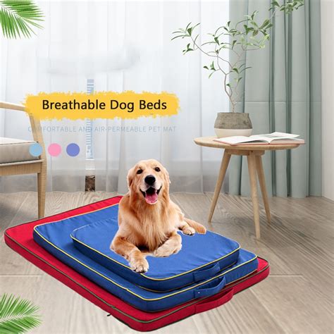 traagschuim matras hond