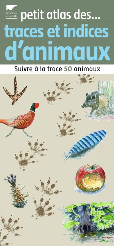 traces et indices d animaux