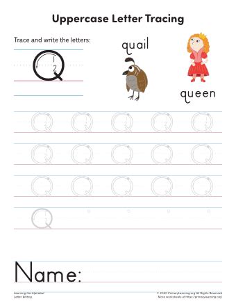 Tracing And Writing Letter Q Primarylearning Org Writing Letter Q - Writing Letter Q