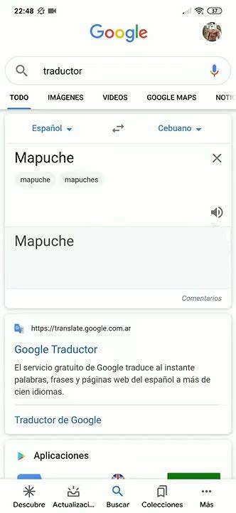 Traductor Mapuche Google