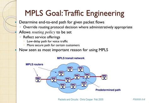 Traffic Engineering With Mpls Networking Technology