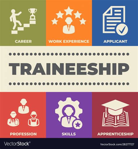 traineeship programma