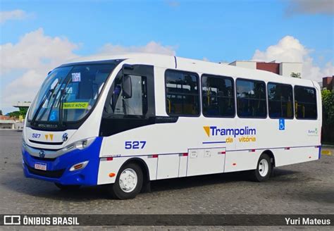 Trampolim Da Vitoria