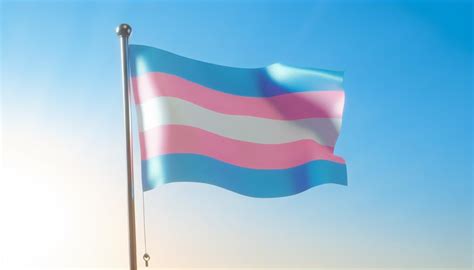 trans flag colors