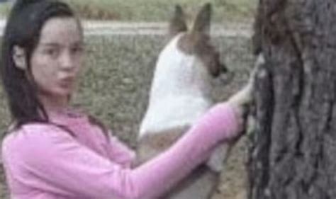 Transando Com Animal