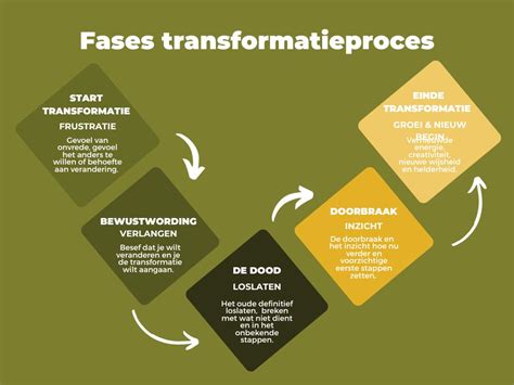 transformatieproces