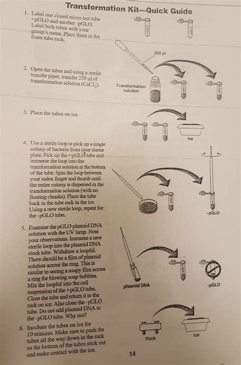 Read Online Transformation Kit Quick Guide Answers 