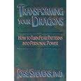 Full Download Transforming Your Dragons How To Turn Fear Patterns Into Personal Power 