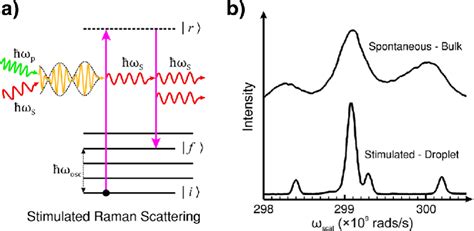 Transient Stimulated Raman Scattering Spectroscopy And Imaging Spectrum In Science - Spectrum In Science