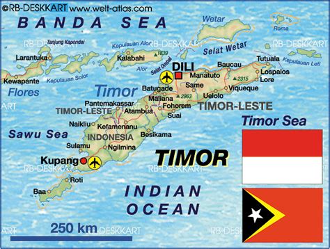 translate indonesia ke timor leste