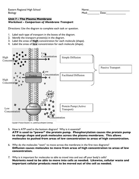 Transport Across The Cell Membrane Worksheet Student Copy Cell Membrane Worksheet Answers - Cell Membrane Worksheet Answers