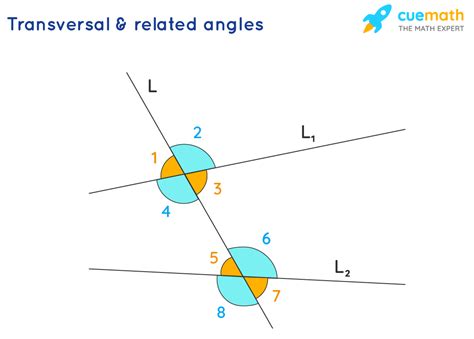 Transversals And Related Angles Solved Examples Cuemath Transversal And Parallel Lines Worksheet Answers - Transversal And Parallel Lines Worksheet Answers