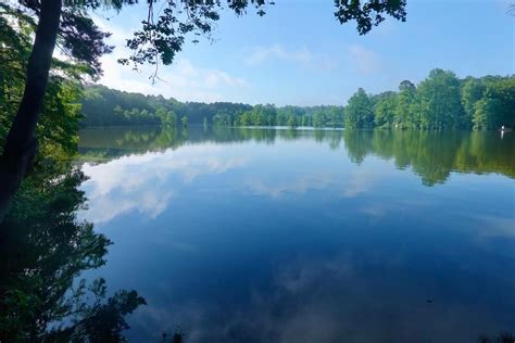 trap pond delaware