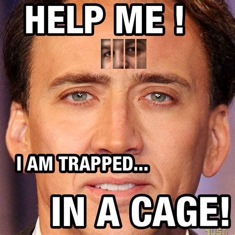Trapped Memes