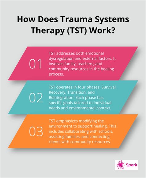Trauma Systems Therapy