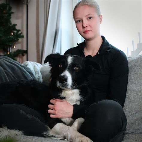 traumatiserade hund