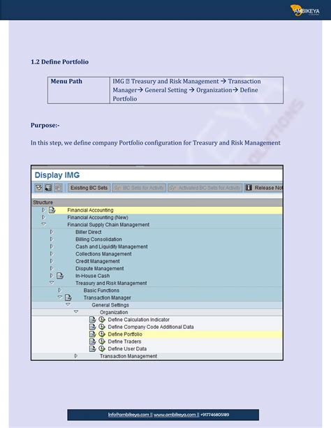 Read Online Treasy Risk Configuration Guide 