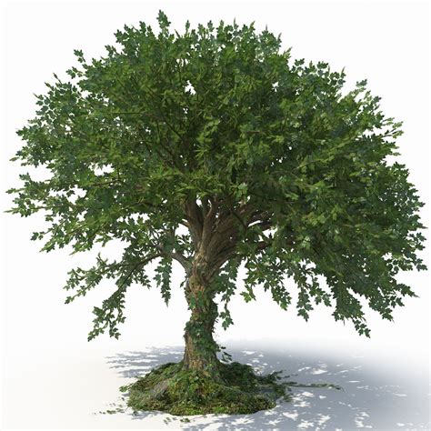 tree 3d model free